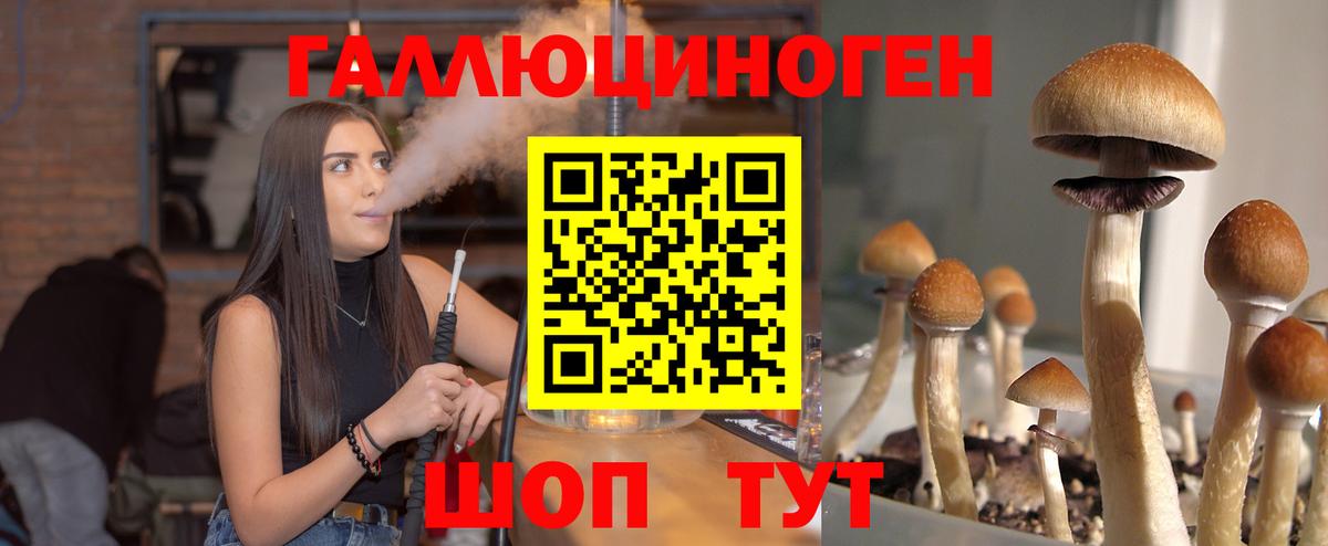 Сергиев Посад  Галлюциногенные грибы мицелий  Вход с VPN  Псилоцибиновые грибы Psilocybe 